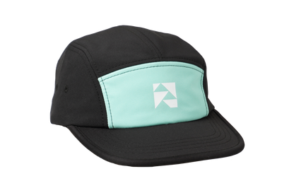 The Monashee 5 Panel